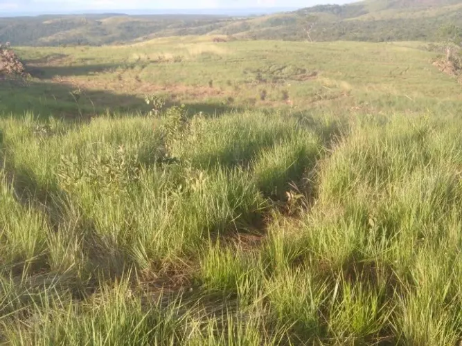 Fazenda a Venda para Plantação Soja