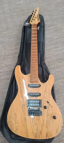 Guitarra Waldman Wis-160 C/bag Snt Spalted Natural