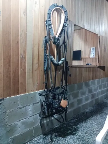  Coreama. Cavalo. Carroça.