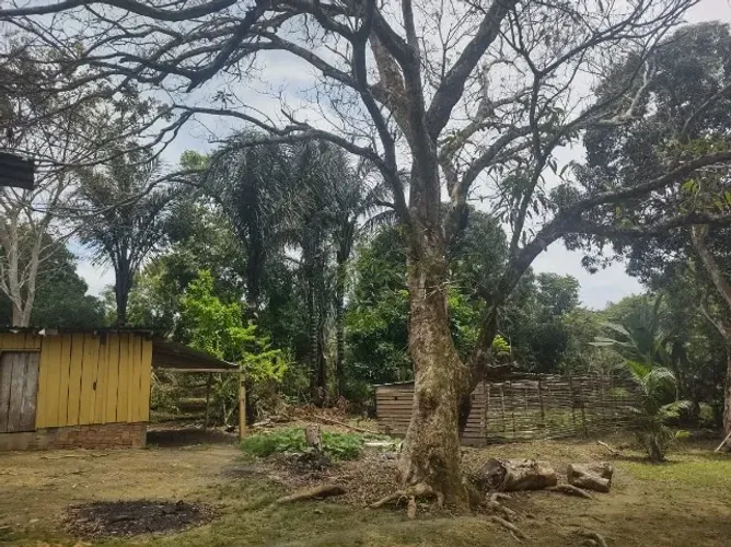 Sítio 900 x 2.500  na AM 010 Rio Preto da Eva  600.000