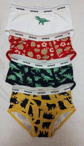 Kit Cuecas Carter's - Diversas Estampas