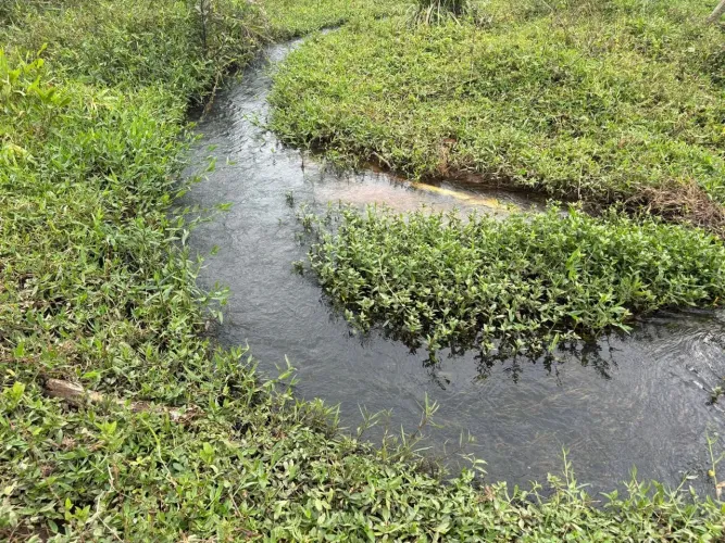 Chácara Plana em Serra azul- com água corrente nos fundos e Poço artesiano