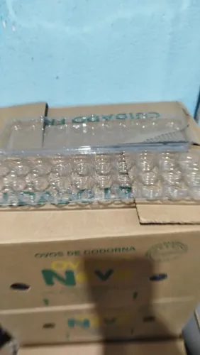 Bandejas para ovos de codorna 