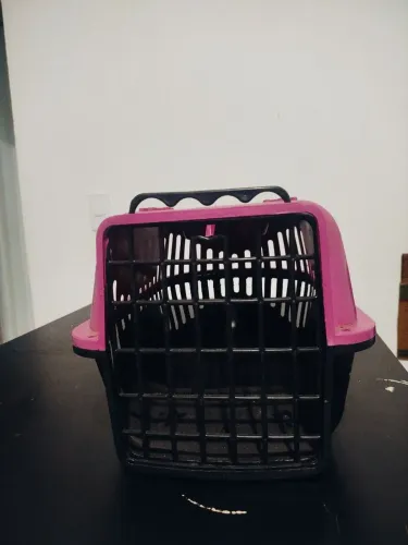 Caixa de Transporte Pet Nº 1