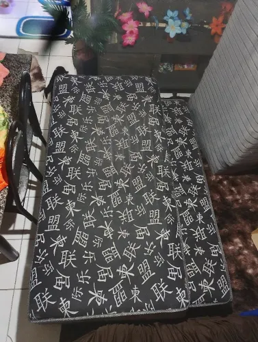 Bi cama