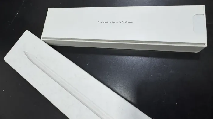 Apple Pencil para iPad - Precisão, Praticidade e Criatividade na Palma da Sua Mão!