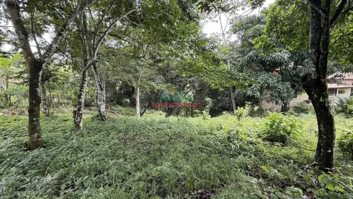 Gleba com 2.500,00 m² a venda com matrícula e asfalto Guaramiranga/CE.