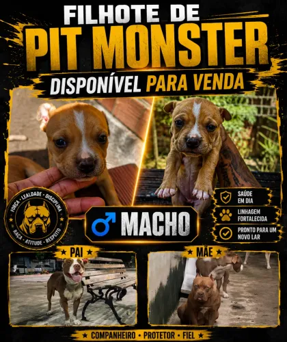 Filhote de Pit monst
