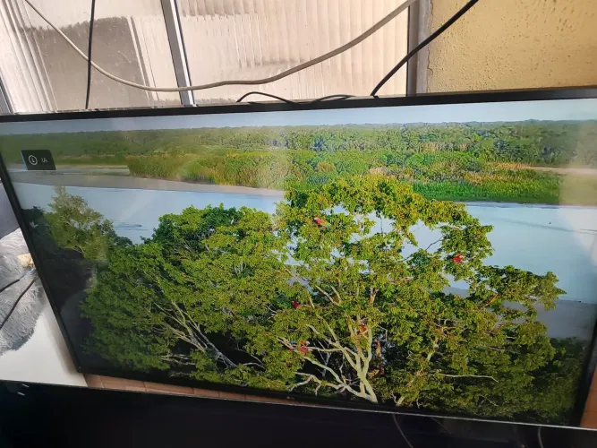 Vendo está smartv LG 55 polegadas