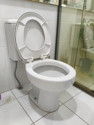 Vaso sanitário em Perfeito estado