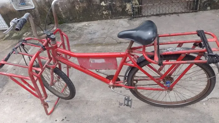 Bicicleta cargueira