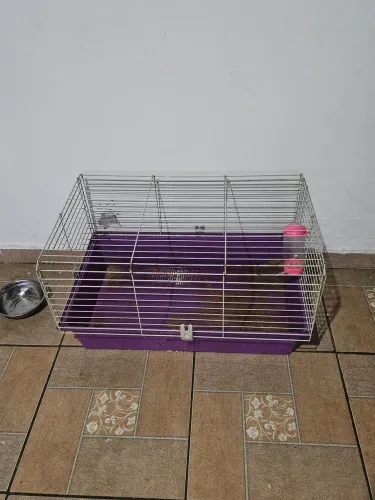 Gaiola grande para coelho