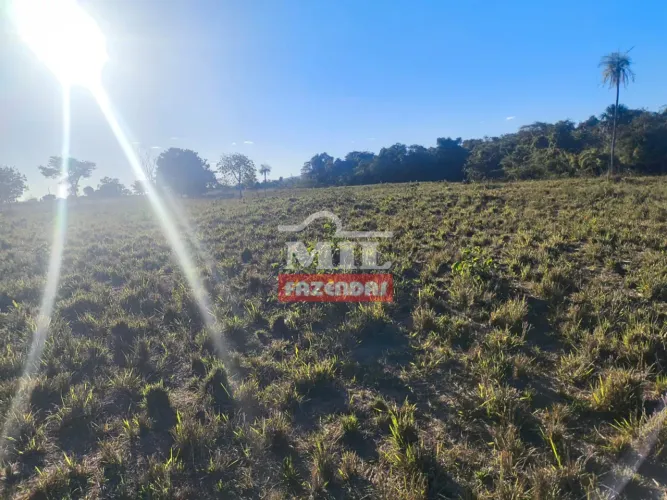 Fazenda 48 Alqueires (232,3 Hectares) Porangatu - GO