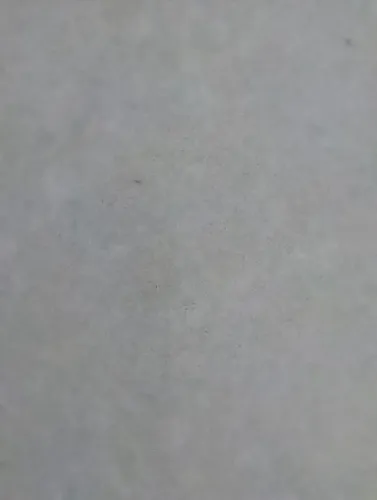 Pinturas e reparos serviços gerais