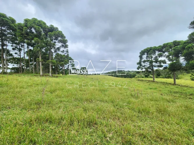TERRENO RURAL em CAMPO ALEGRE - SC, Laranjeiras