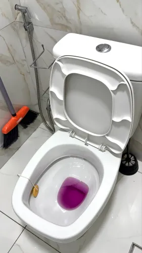 Bacia sanitária