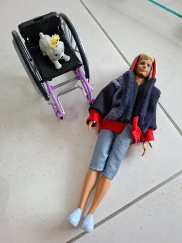 Boneco Ken da Barbie, cadeira de rodas Barbie e cachorro Barbie 