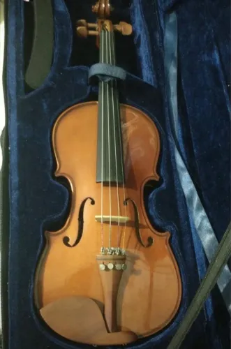 Violino