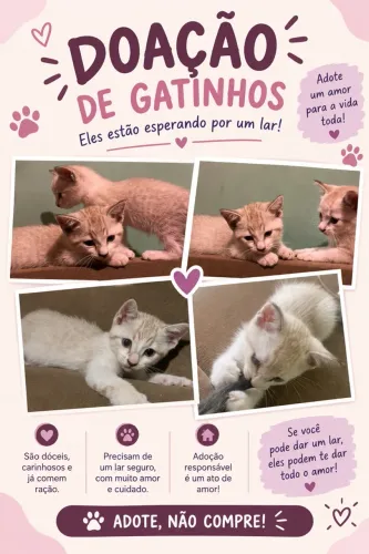 Gatos