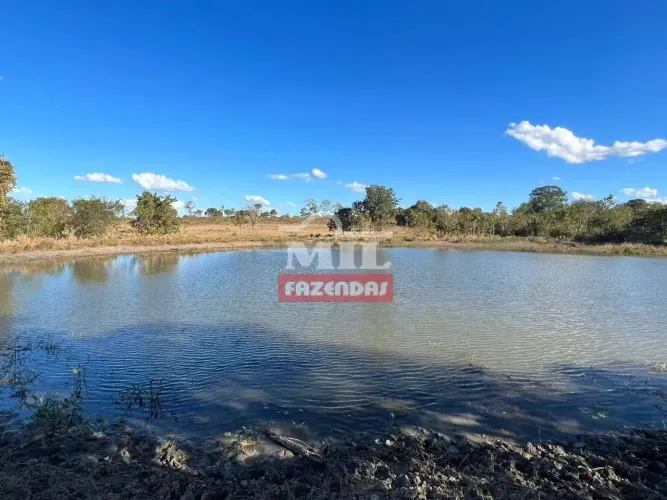 Fazenda 365 alqueires (1.766 hectares) Paranã - To