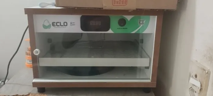 CHOCADEIRA AUTOMÁTICA BANDEJA PARA 30 OVOS