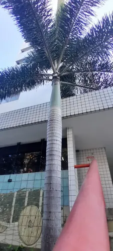 Apartamento à venda, ESPINHEIRO, Recife, PE