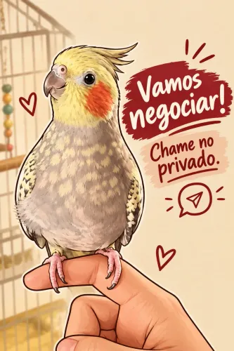 Vamos negociar