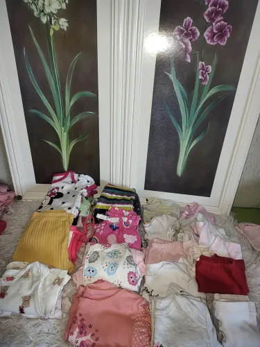 Lote de roupas de bebê menina tm pmg