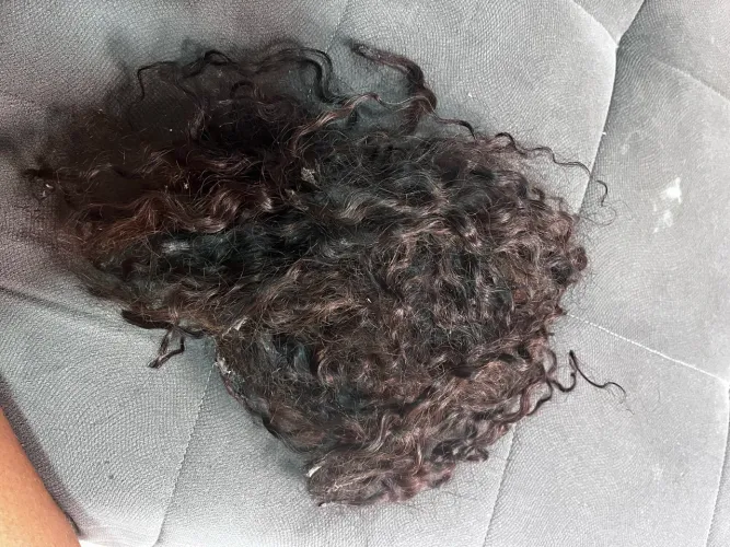 Cabelo