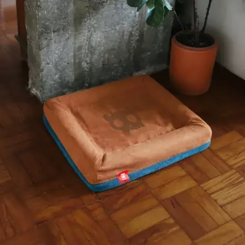 Cama Zee Dog 