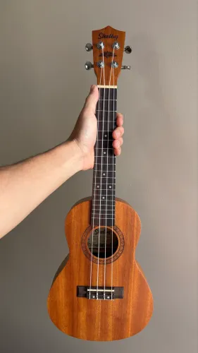 Ukulele Shelby Concert Acústico 