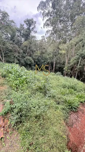 Terreno em Jandira 1300m2 vista única