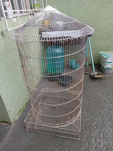 Gaiola para calopicita