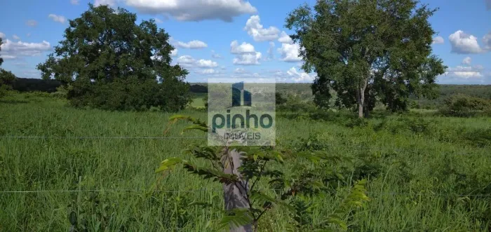 Fazenda para Venda em Barreiras, Centro, 3 dormitórios, 2 banheiros, 1 vaga