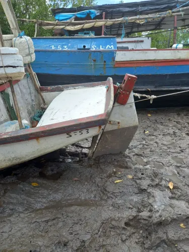 barco 