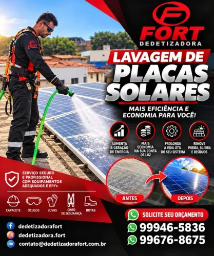 Placa solar 