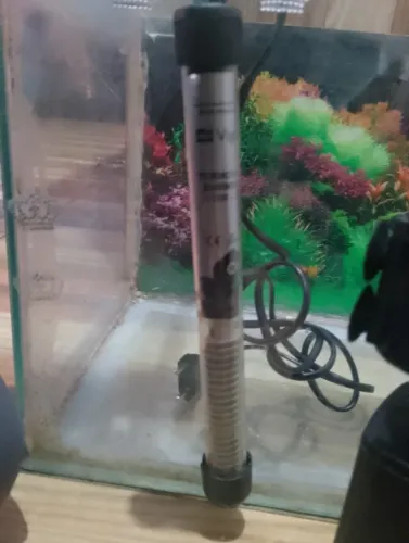 Aquário para peixes