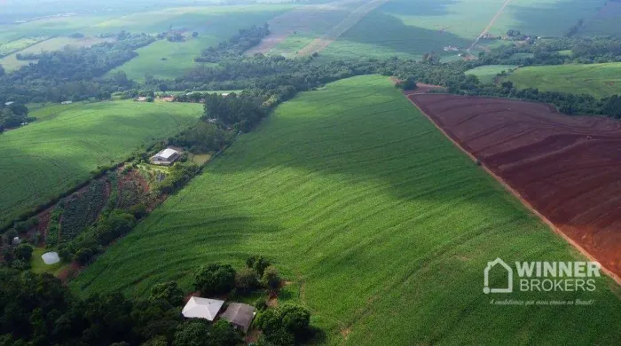 Sítio à venda, 193600 m² por R$ 14.000.000,00 - Jd São Domingos - Maringá/PR