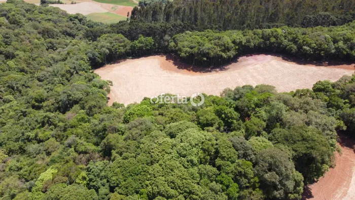 Chácara em Araucária