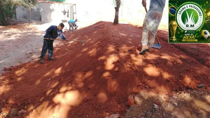 Grama Natural Para Residências e Empresas