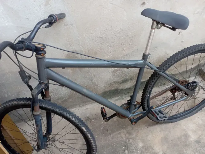 Bicicleta 29