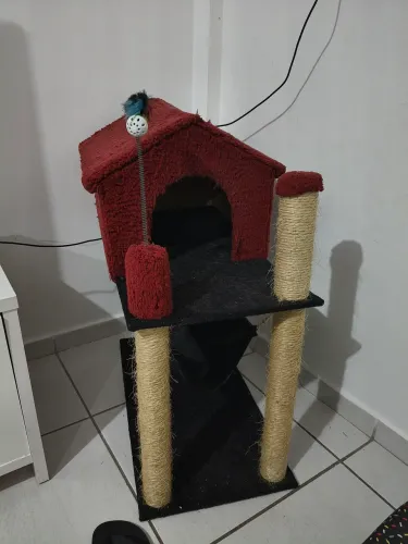 Casinha para gato