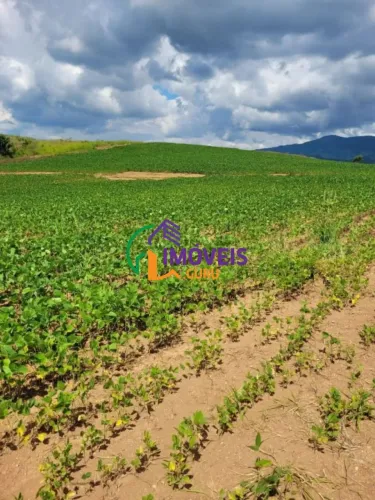 FAZENDA - CENTRO - MG