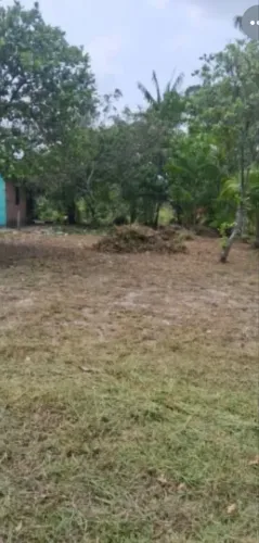 Vendo dois terrenos