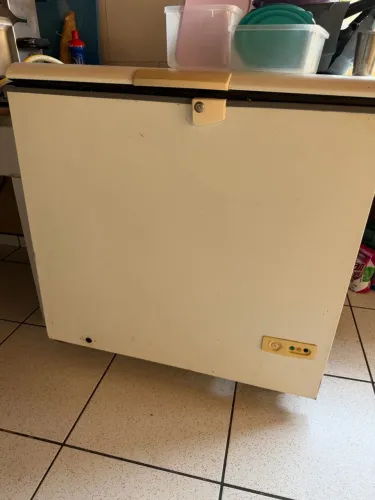 Freezer 312l
