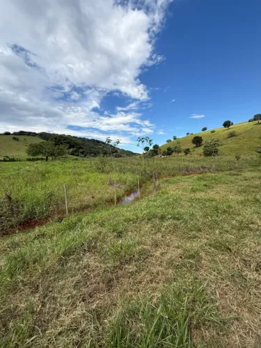 Fazenda no Naque/MG - 66 hectares
