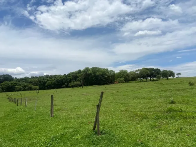 Fazenda para venda possui 23 alqueire em Uberlândia - MG