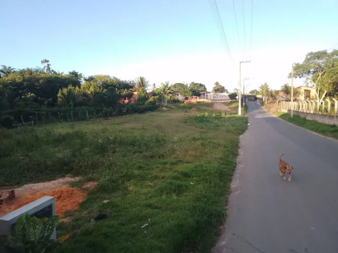 Vende-se lotes bem localizados Estrada fundo do posto Tauá indo sentido Miguel dos Anjos