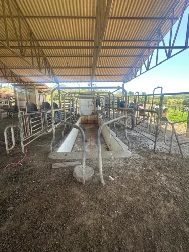 Estrutura para tirar leite