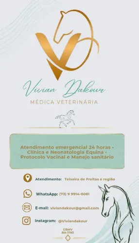 Atendimento Veterinário Volante